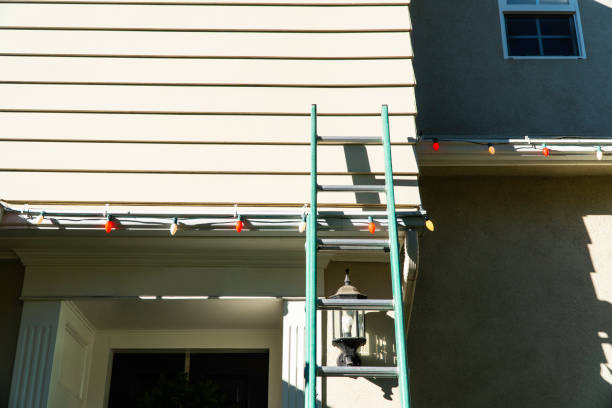 Best Insulated Siding Installation  in Oill, NE