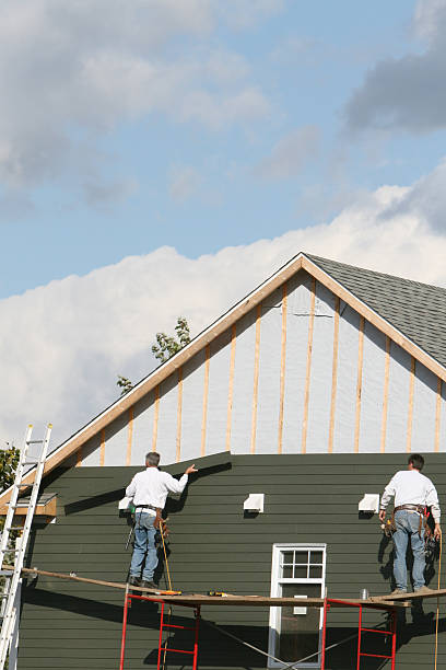 Best Vinyl Siding Installation  in Oill, NE